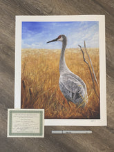 Load image into Gallery viewer, Portrait of a Sandhill Crane — Print