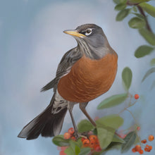 Load image into Gallery viewer, Robin Study — Print