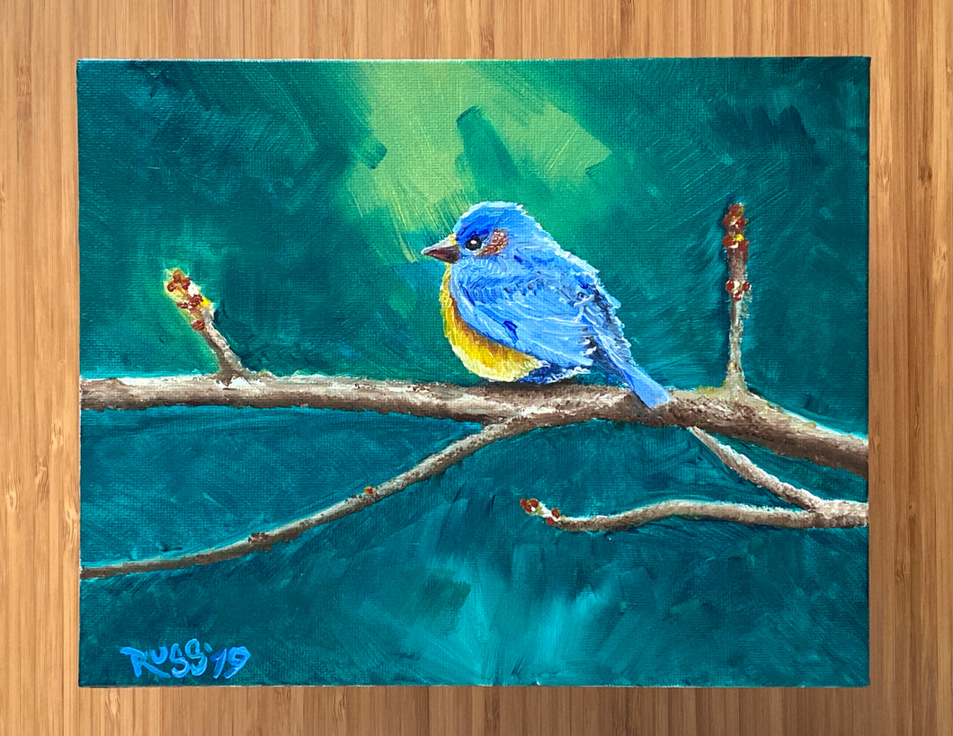 Bluebird - Oil Painting