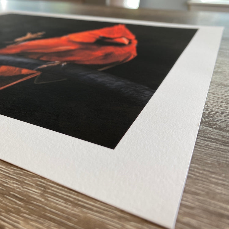 Prints