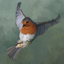 Load image into Gallery viewer, Robin Study (no. 2)
