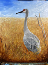 Load image into Gallery viewer, Portrait of a Sandhill Crane — Oil Painting
