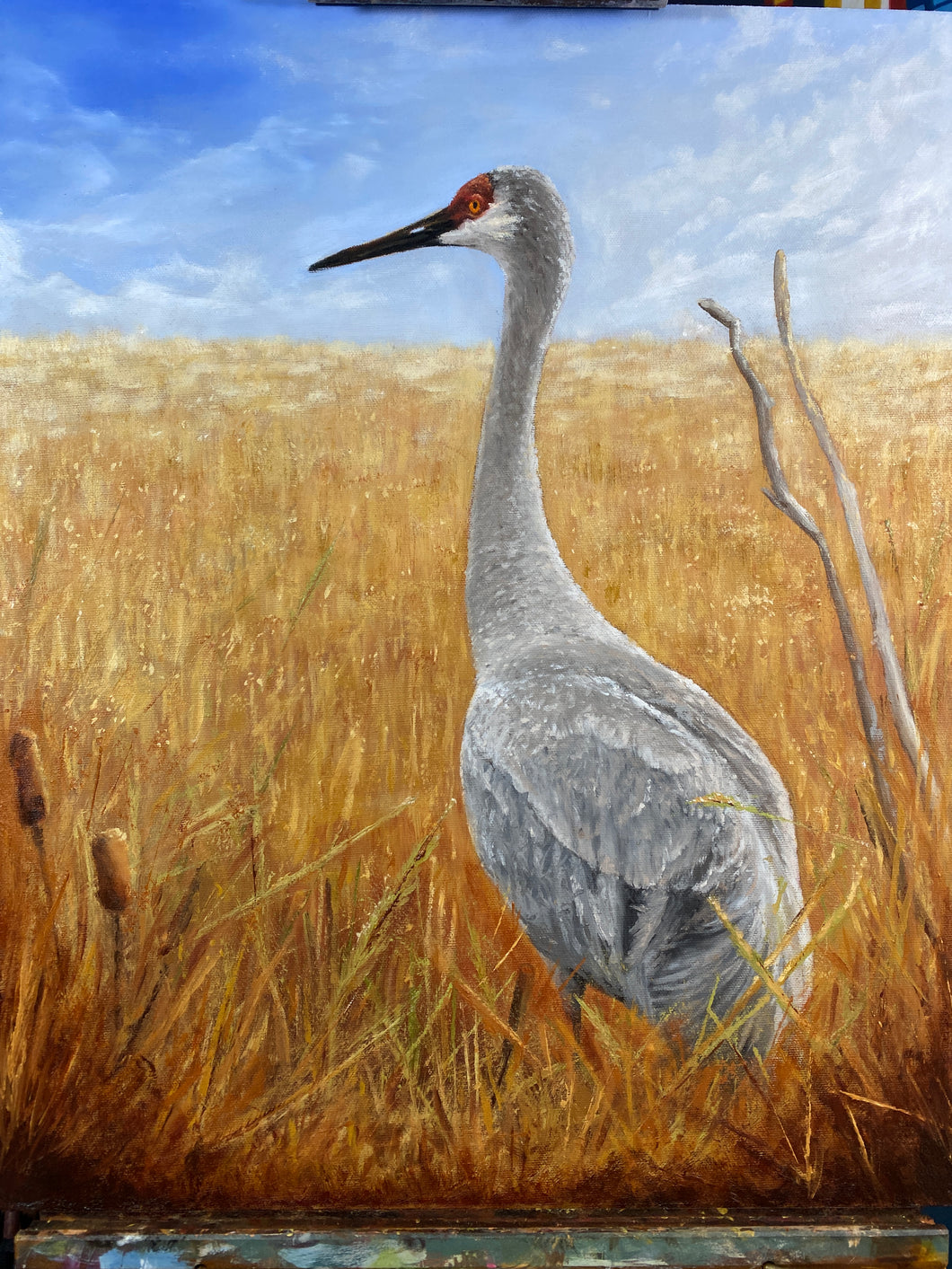 Portrait of a Sandhill Crane — Oil Painting