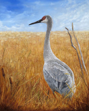 Load image into Gallery viewer, Portrait of a Sandhill Crane
